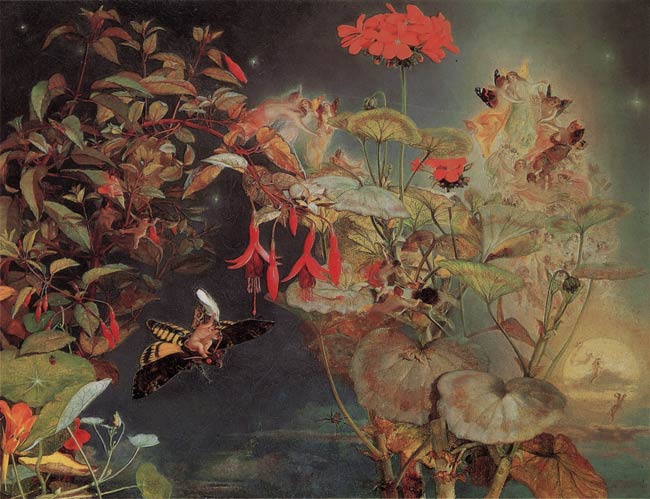 Naish - Midsummer Fairies