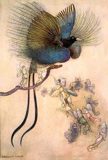 Bird of Paradise I