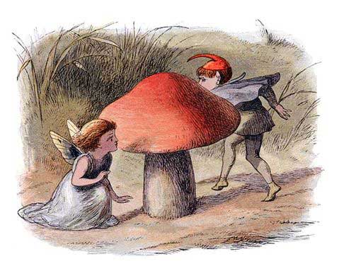 Elf and Fairy