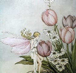 With Tulips